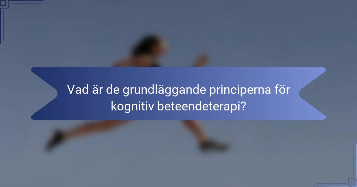 Vad är de grundläggande principerna för kognitiv beteendeterapi?