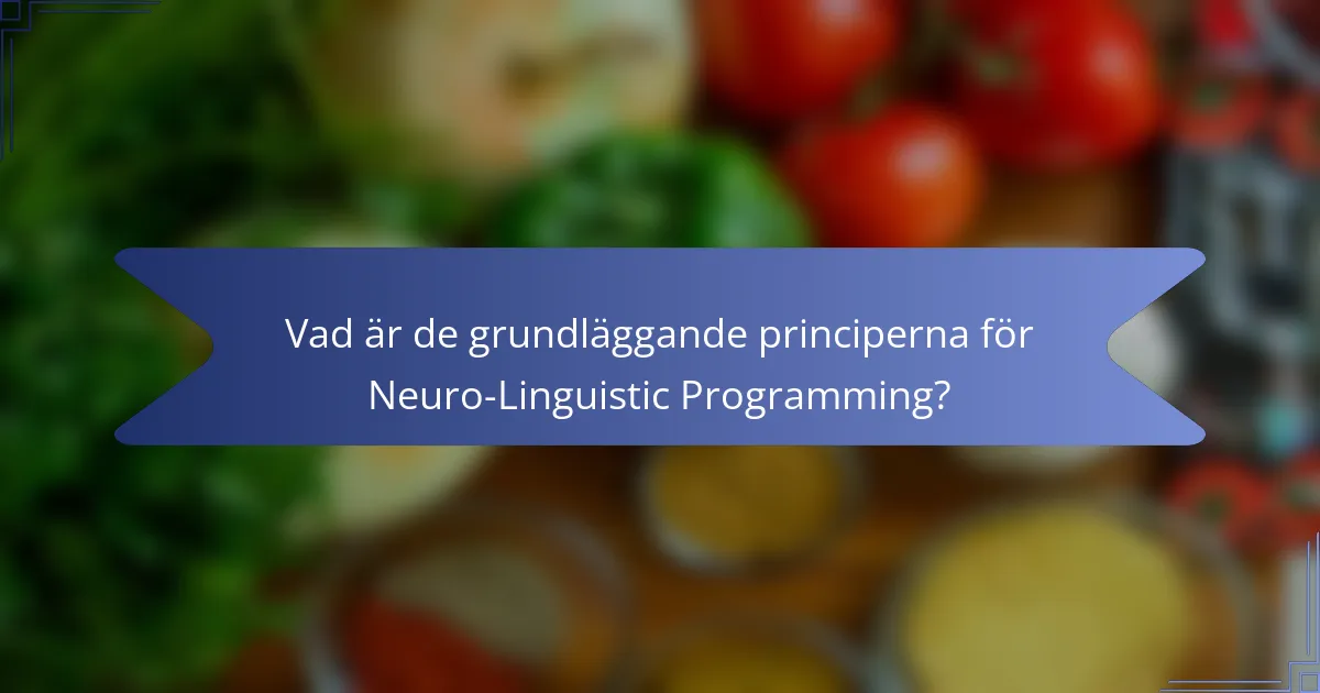 Vad är de grundläggande principerna för Neuro-Linguistic Programming?