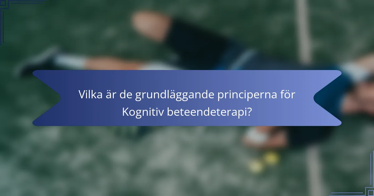 Vilka är de grundläggande principerna för Kognitiv beteendeterapi?