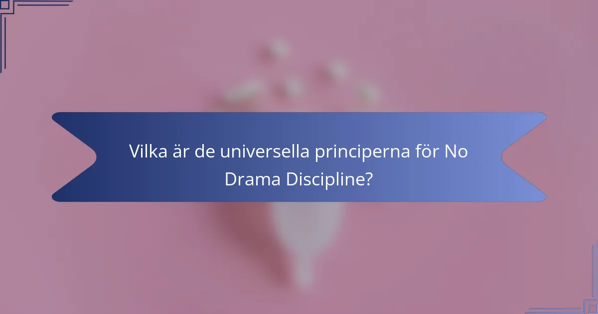Vilka är de universella principerna för No Drama Discipline?